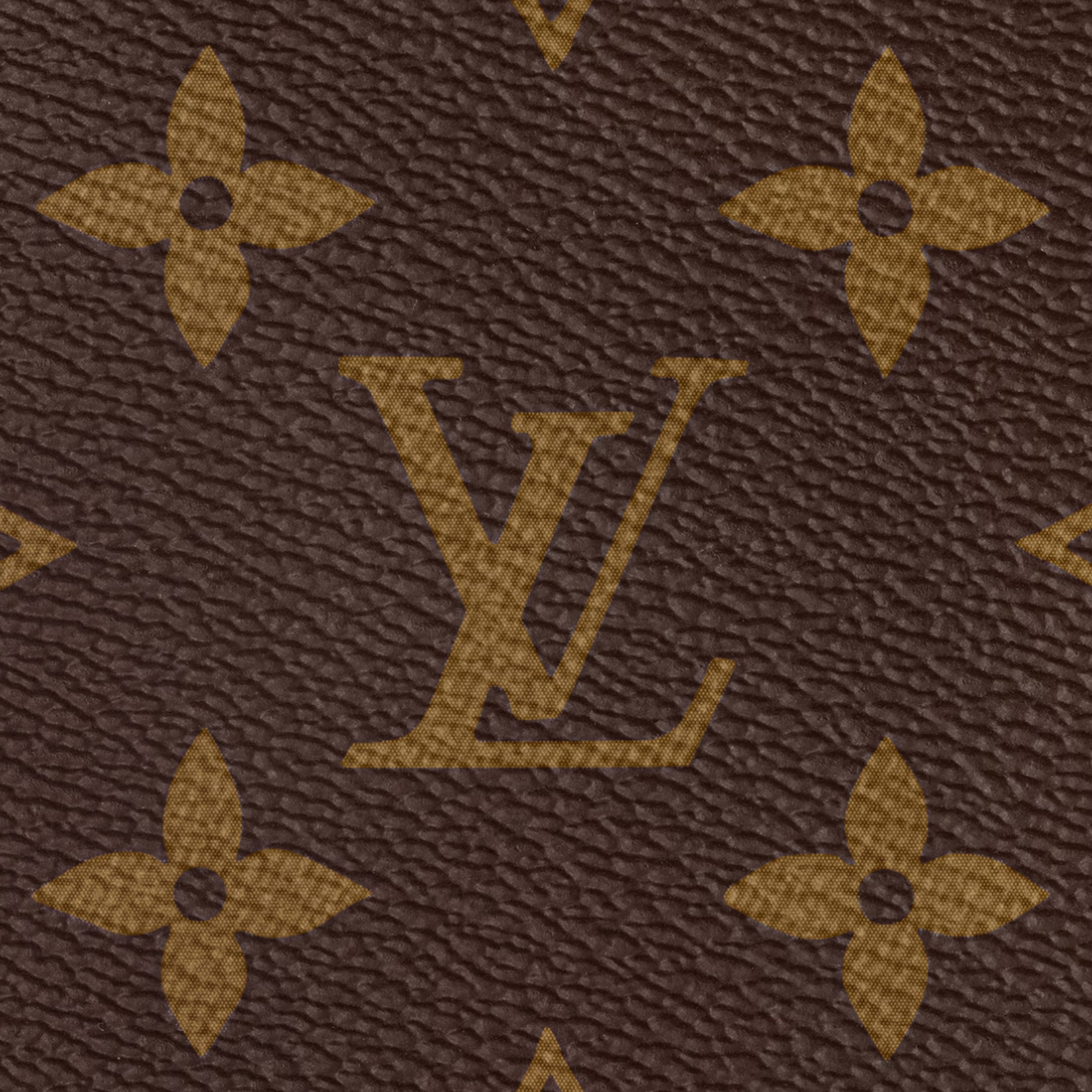 LV Tote Bag